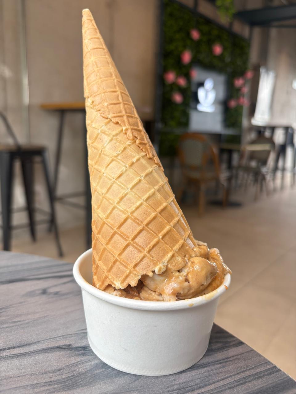 Helados Timaukel